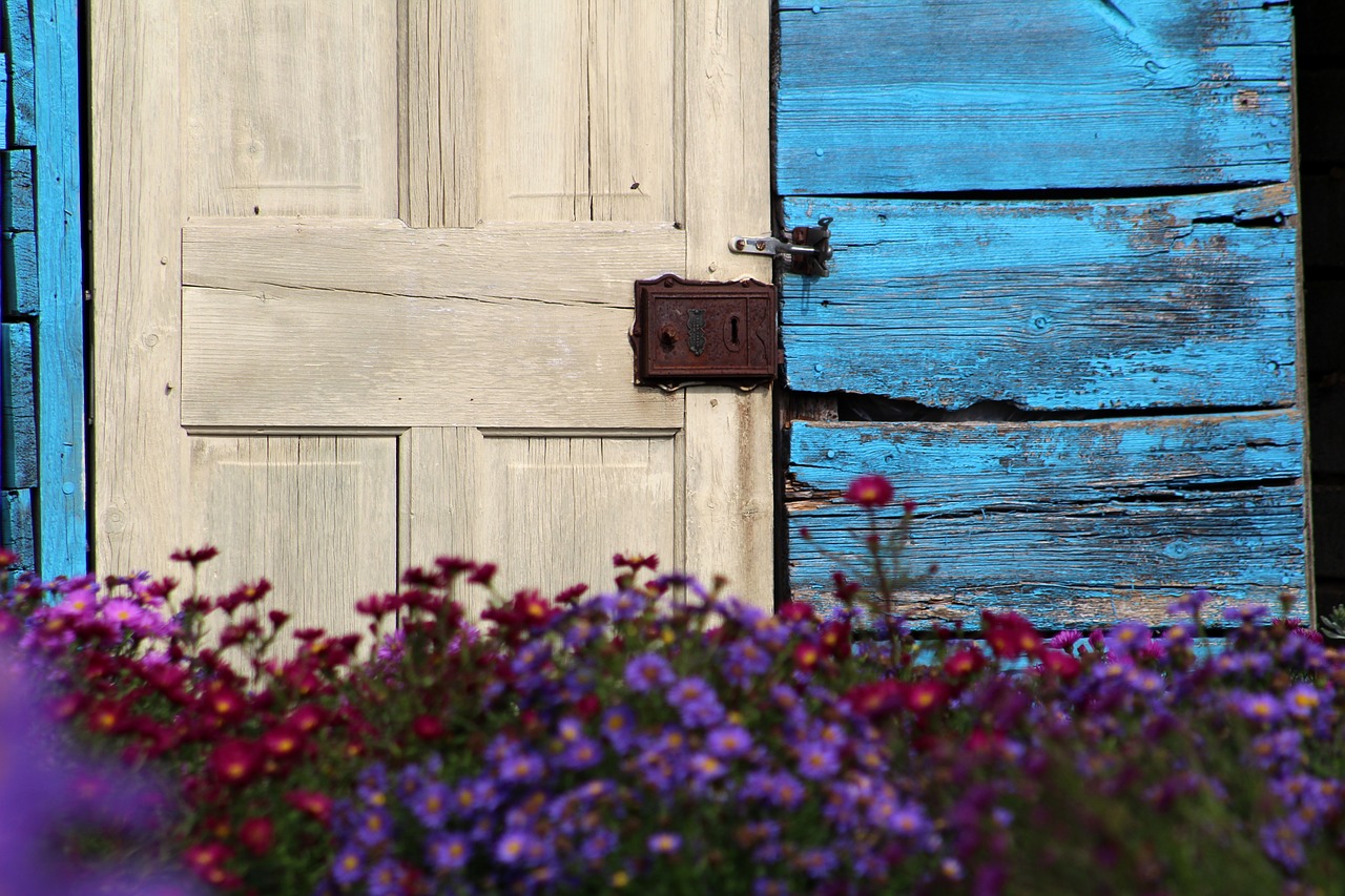 shed garden flowers free photo