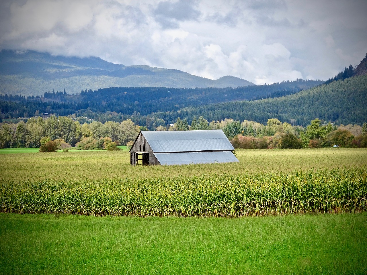 shed  hut  rural free photo