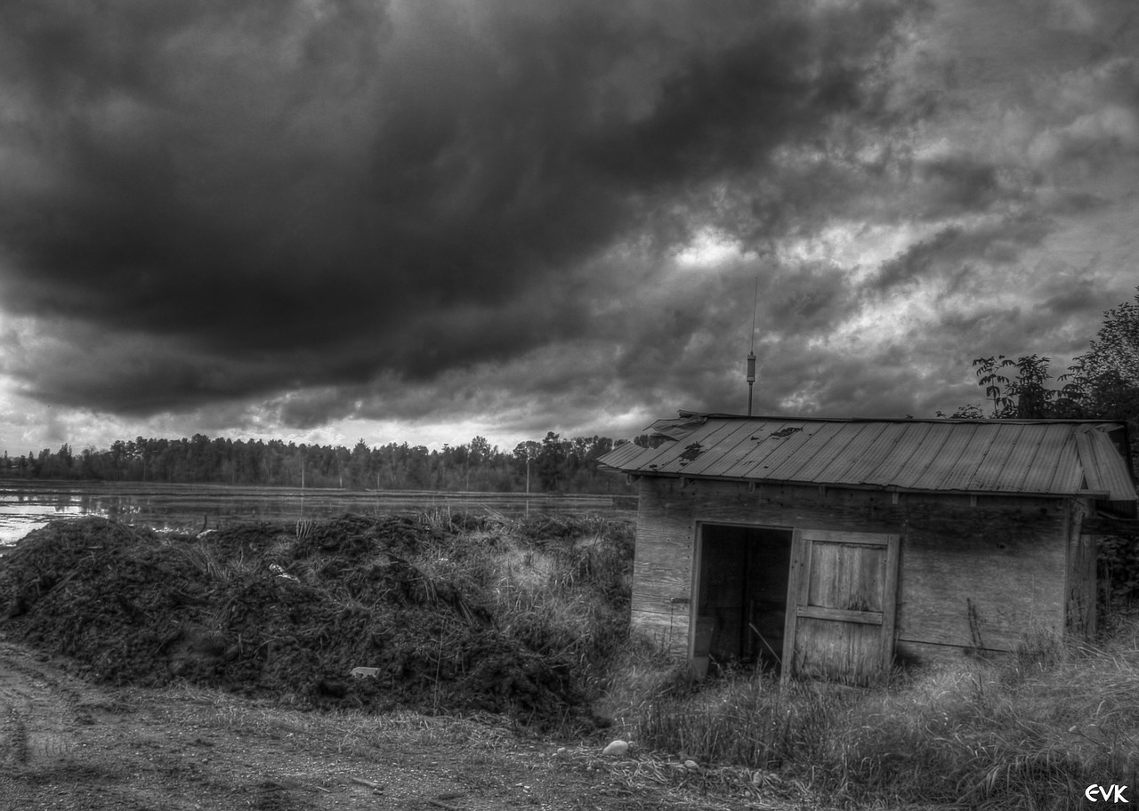 shed farm black free photo