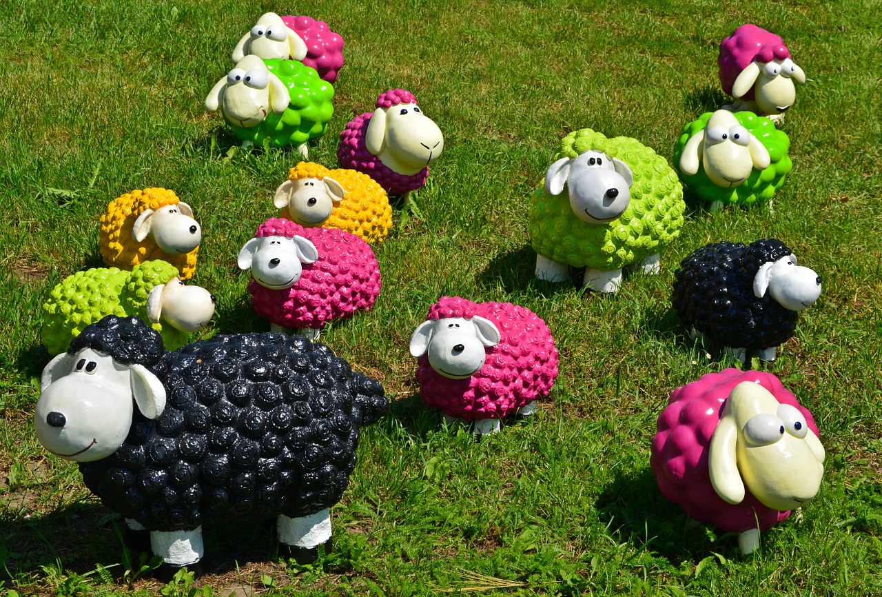 sheep black sheep funny free photo