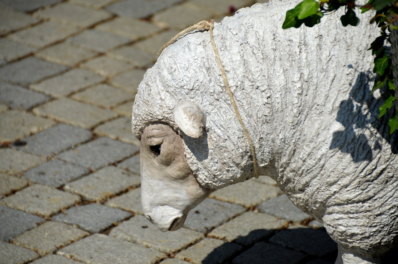 sheep sheepshead figure free photo