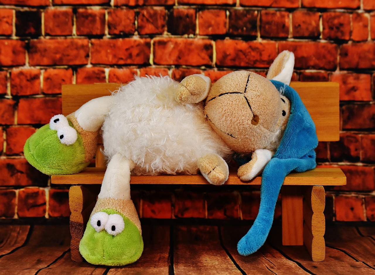 sheep sleepyhead funny free photo