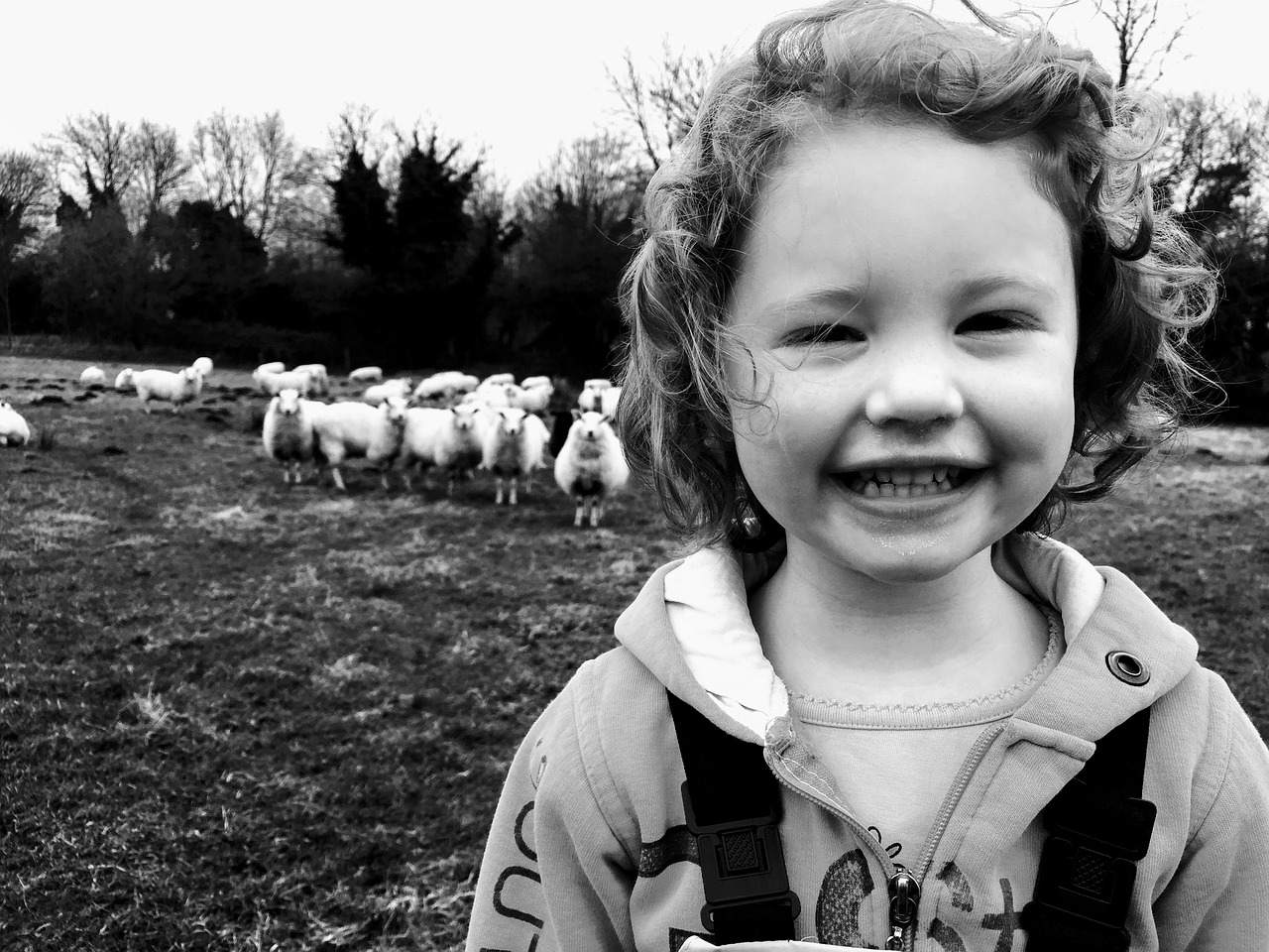 sheep girl country free photo