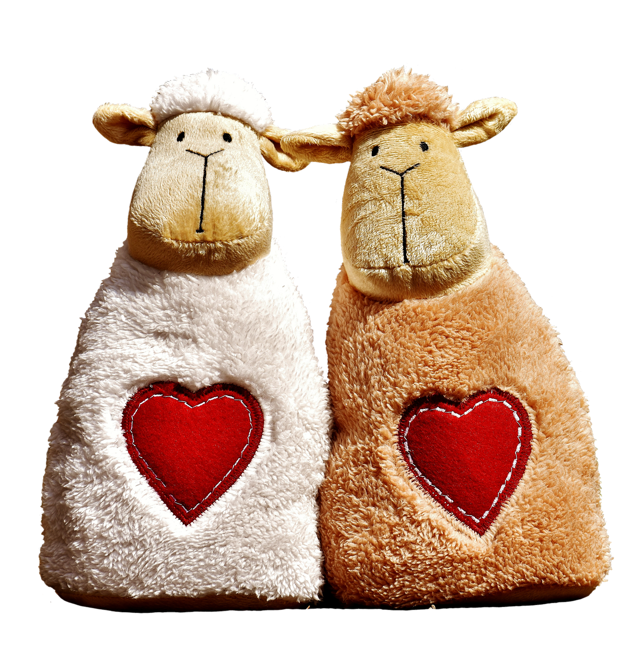 sheep love heart free photo