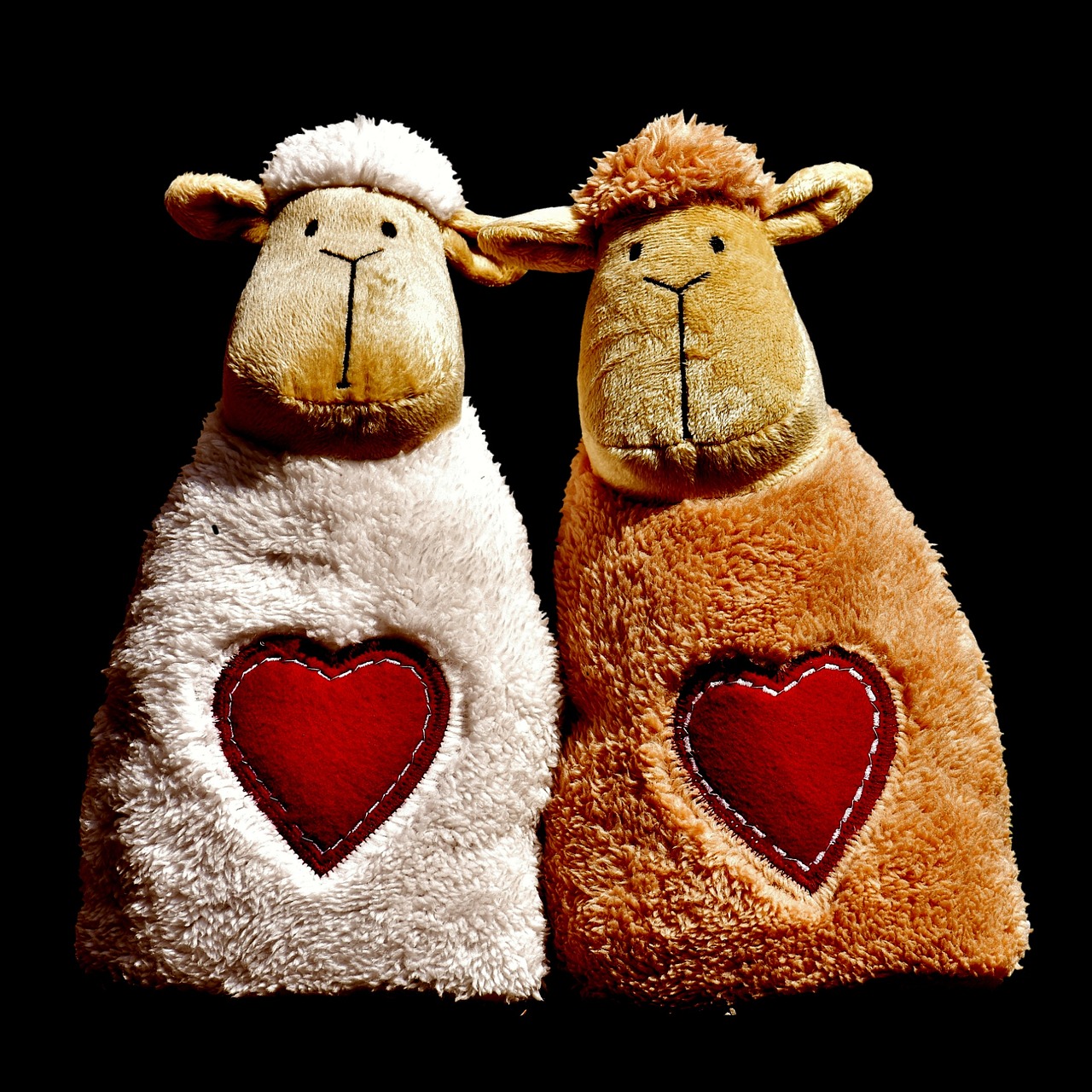 sheep love heart free photo