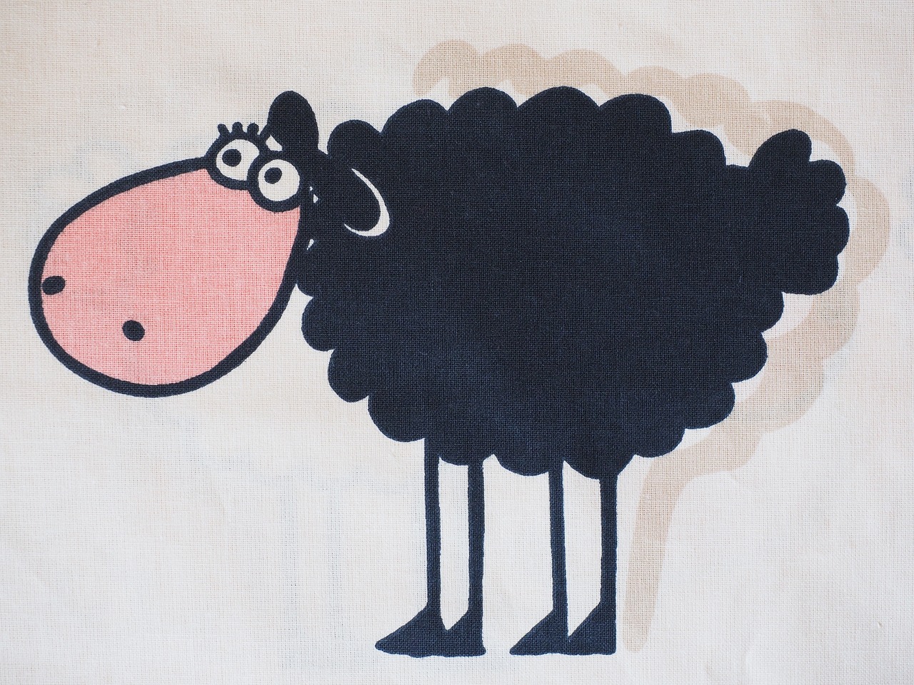 sheep black animal free photo