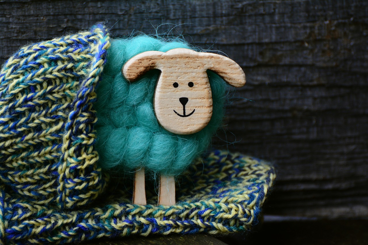 sheep wool knit free photo