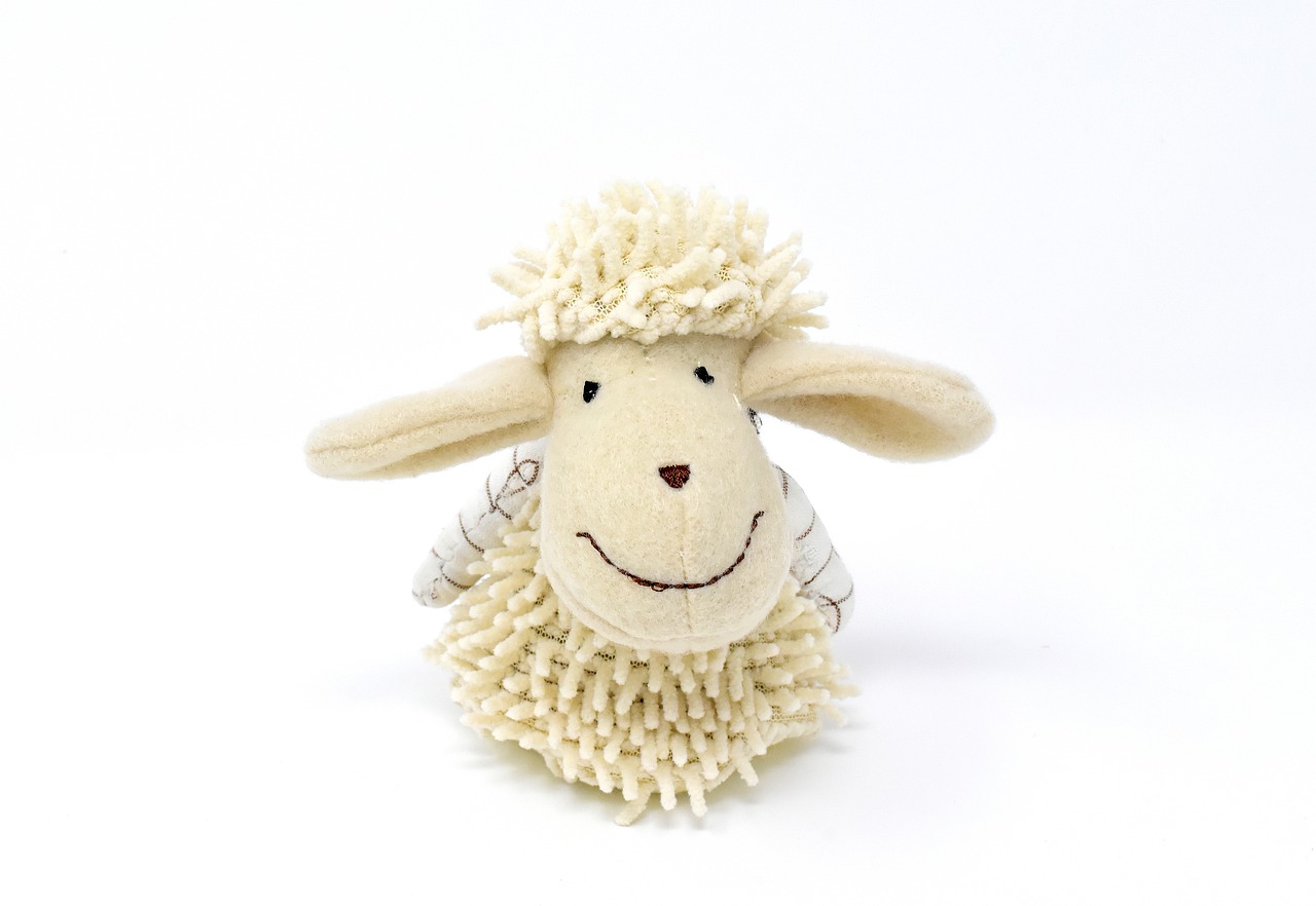 sheep stuffed animal cute free photo