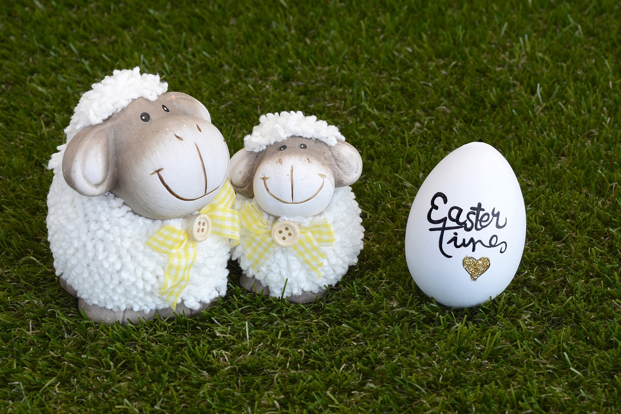 sheep easter easter egg free photo