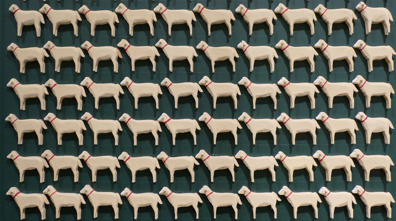 sheep  flock of sheep  miniature free photo