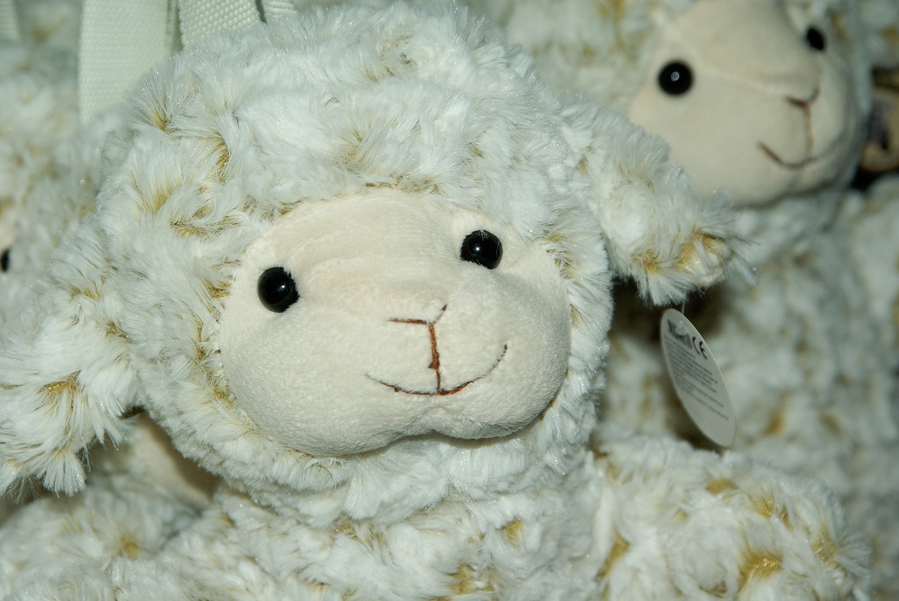 sheep plush toys free photo