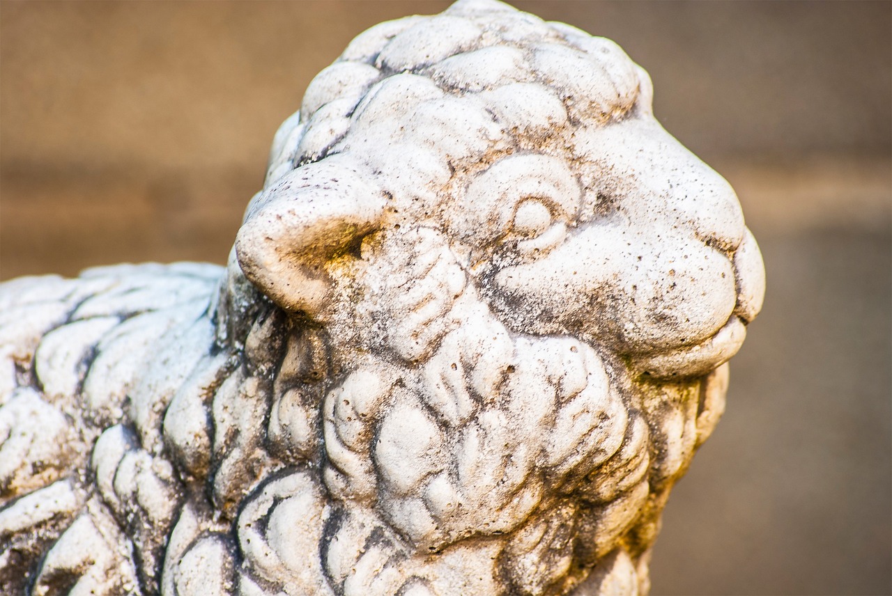 sheep sheep's head stone sculpture free photo
