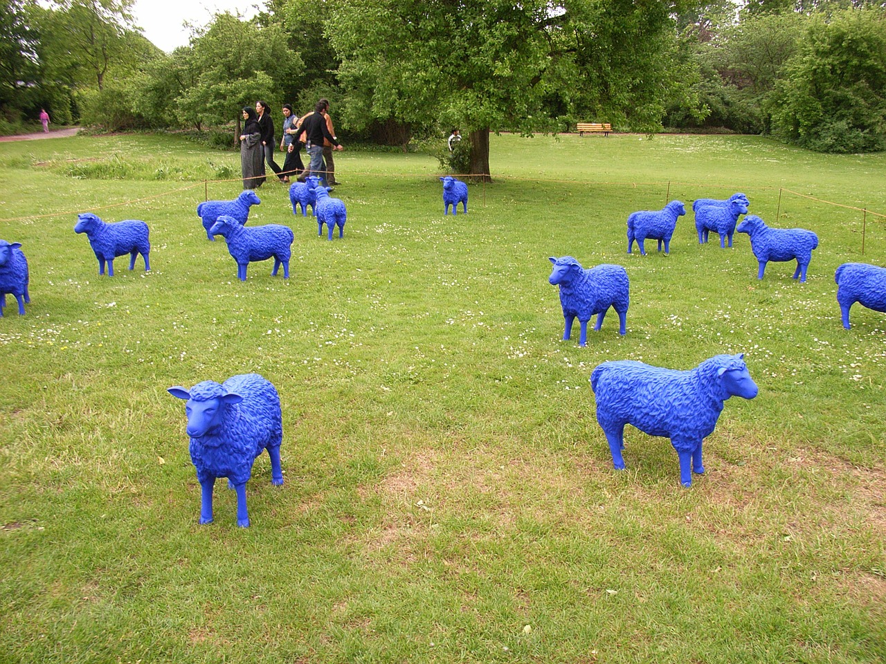 sheep blue blue sheep free photo