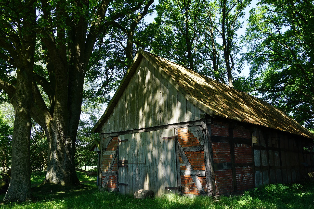 sheep barn old truss free photo