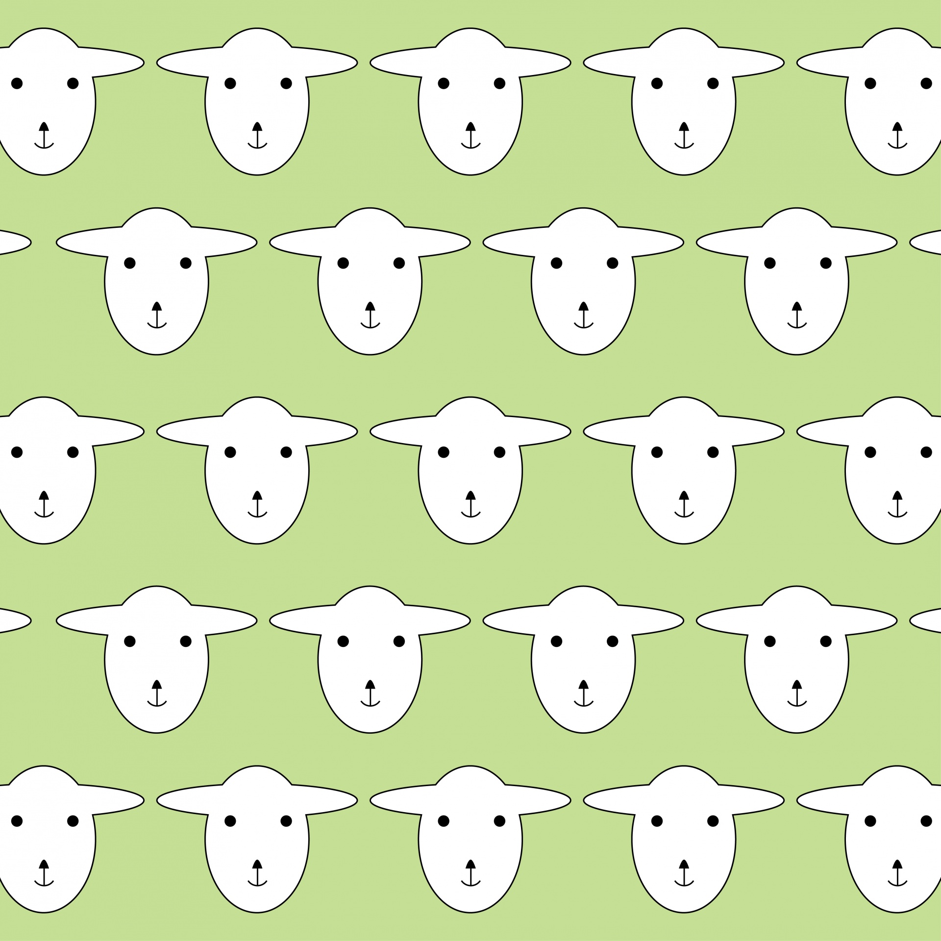sheep lambs lamb face free photo
