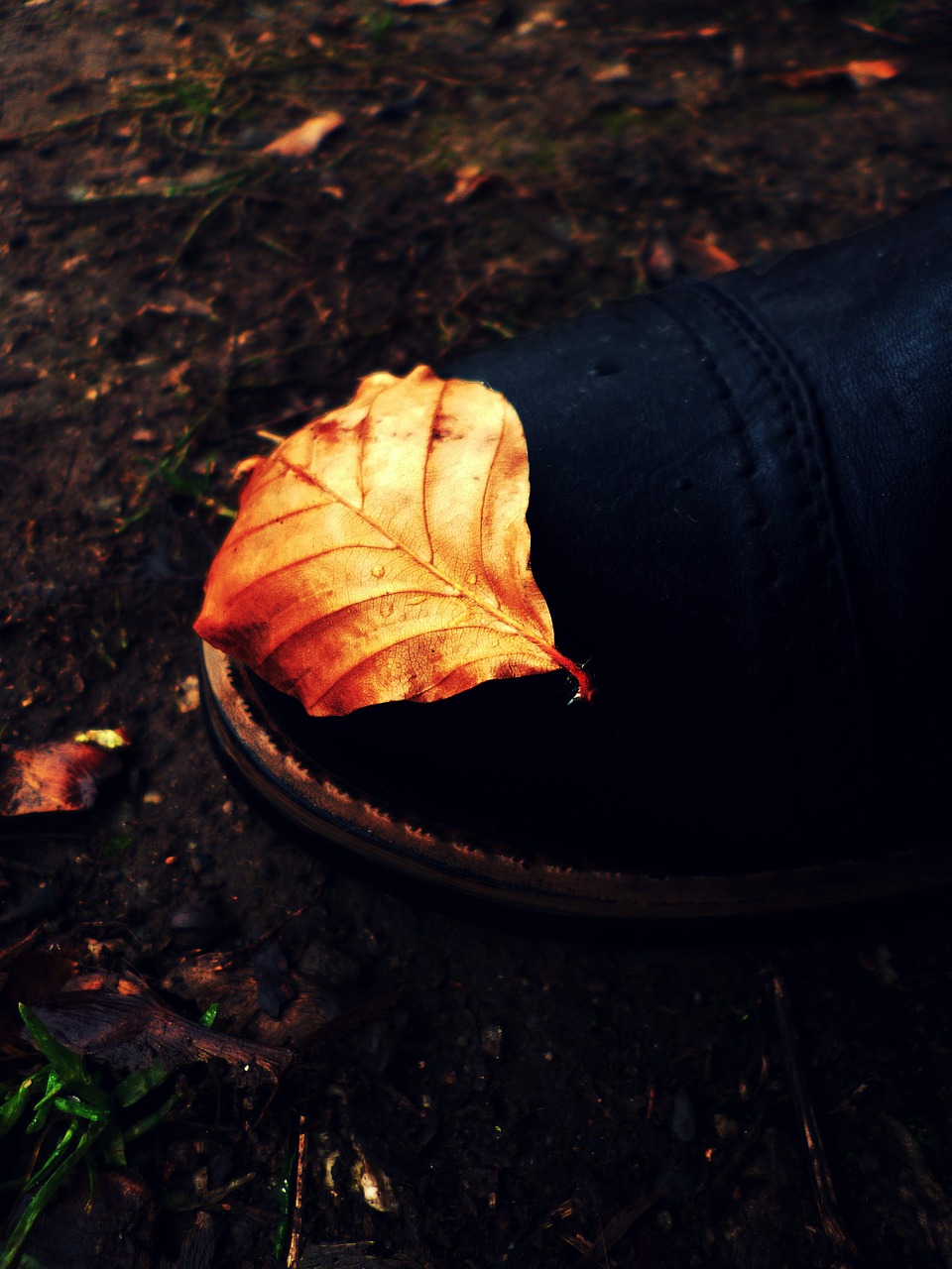 sheet autumn shoe free photo