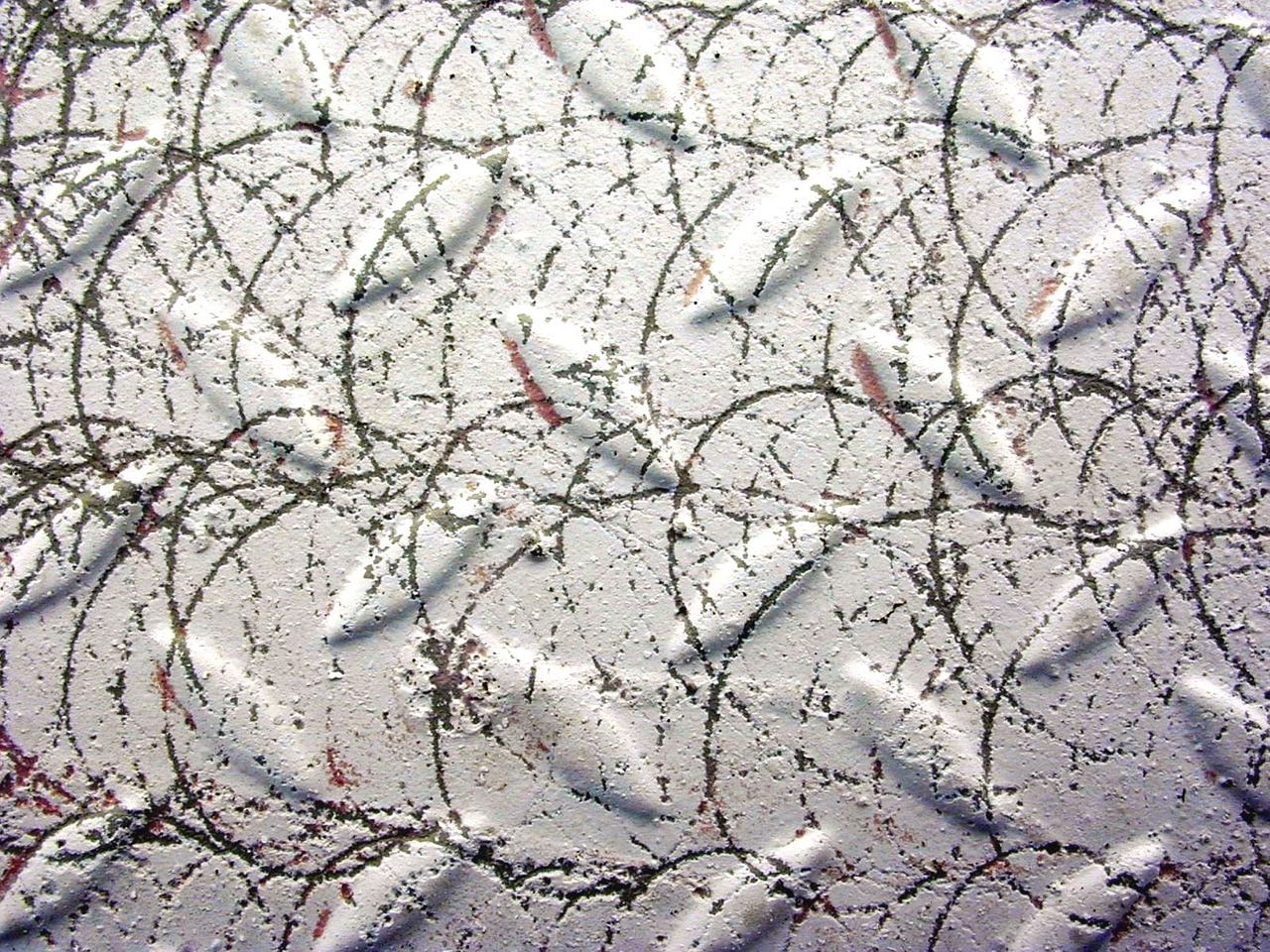 sheet pattern scratched free photo