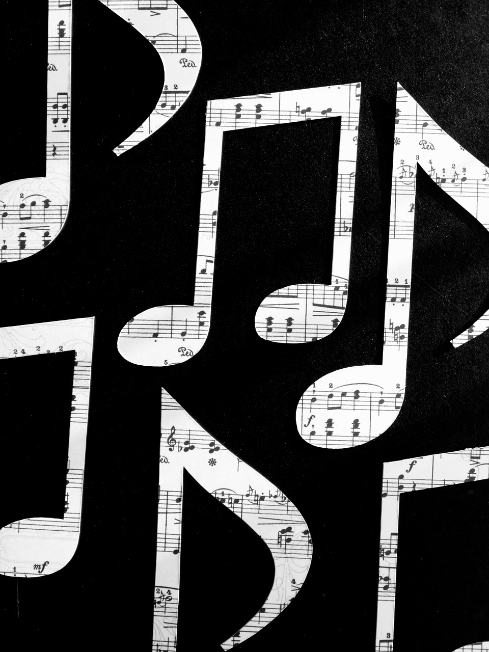 sheet music music contour free photo
