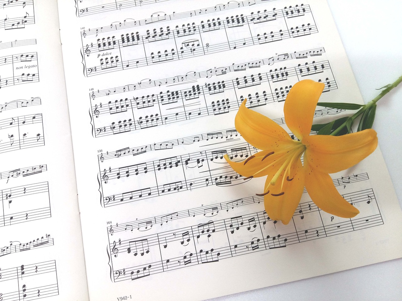 sheet music yellow naira flowers free photo