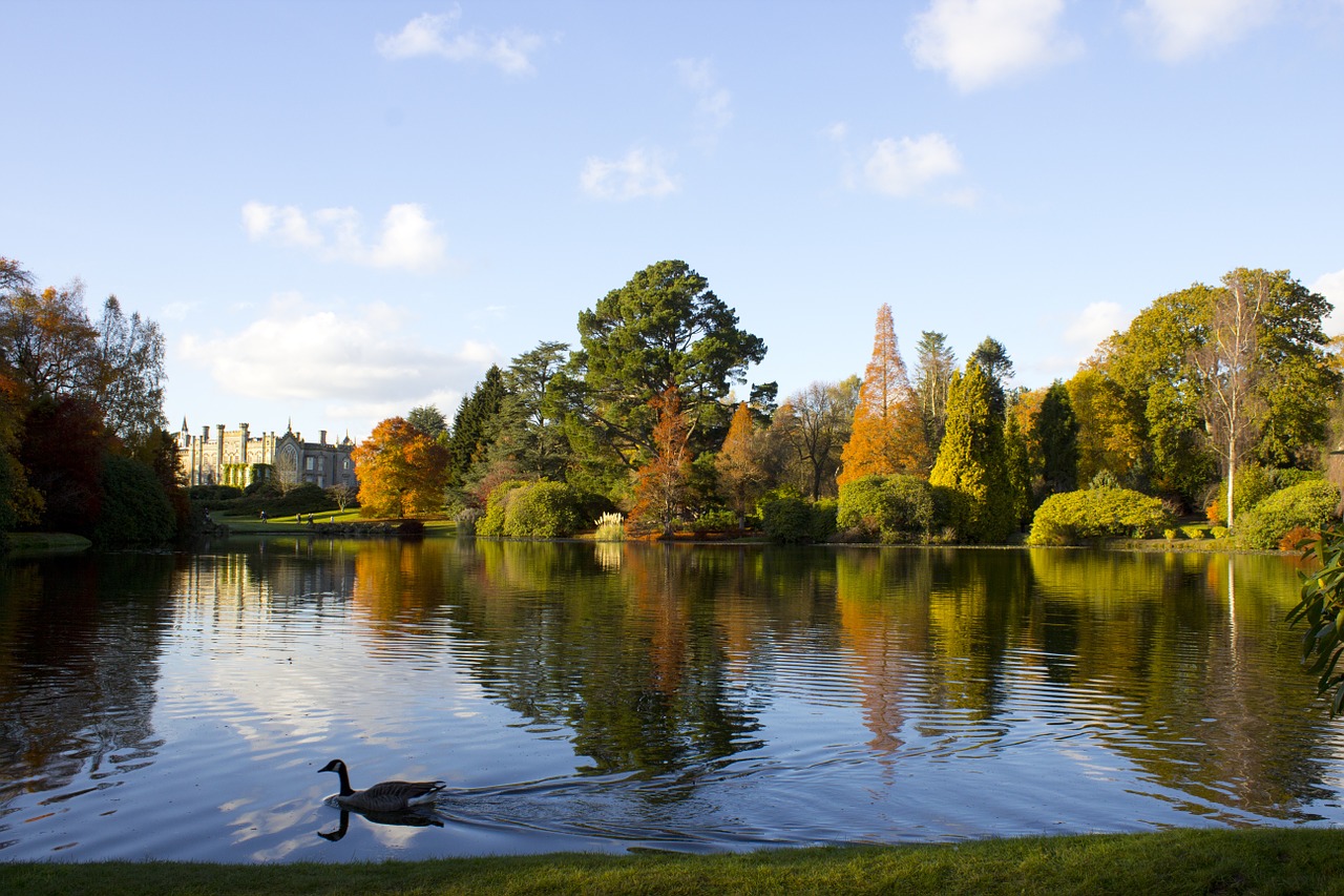 sheffield park reflection lake free photo