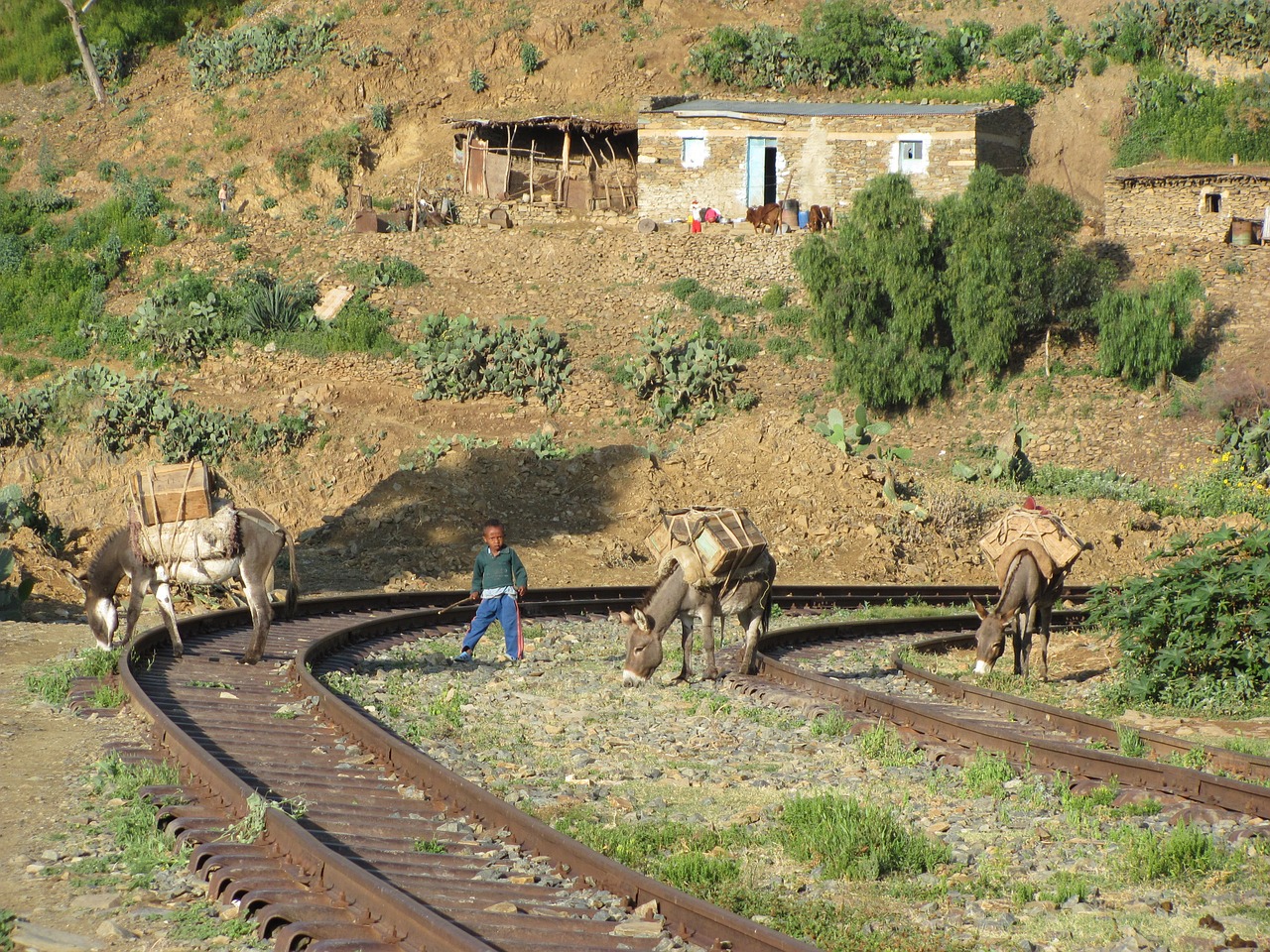 shegerini railway station free photo