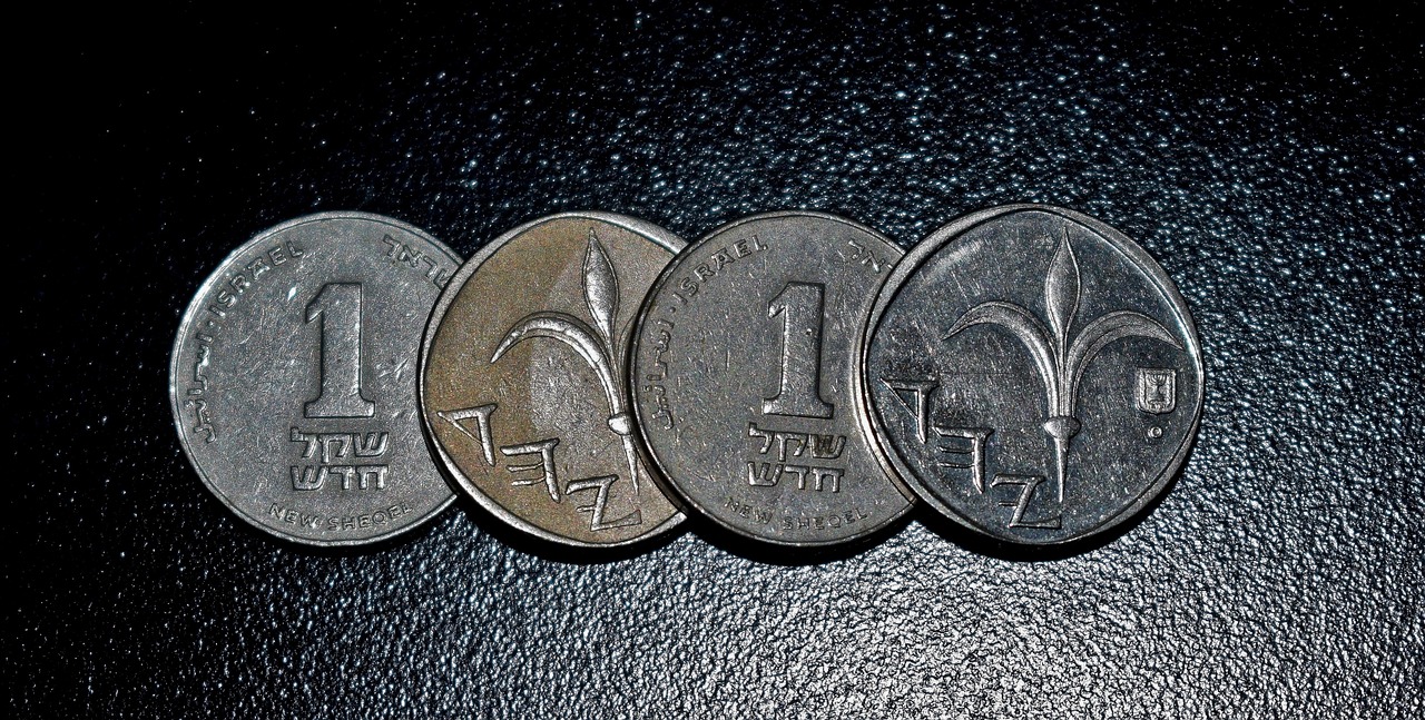 shekel new shekel currency free photo