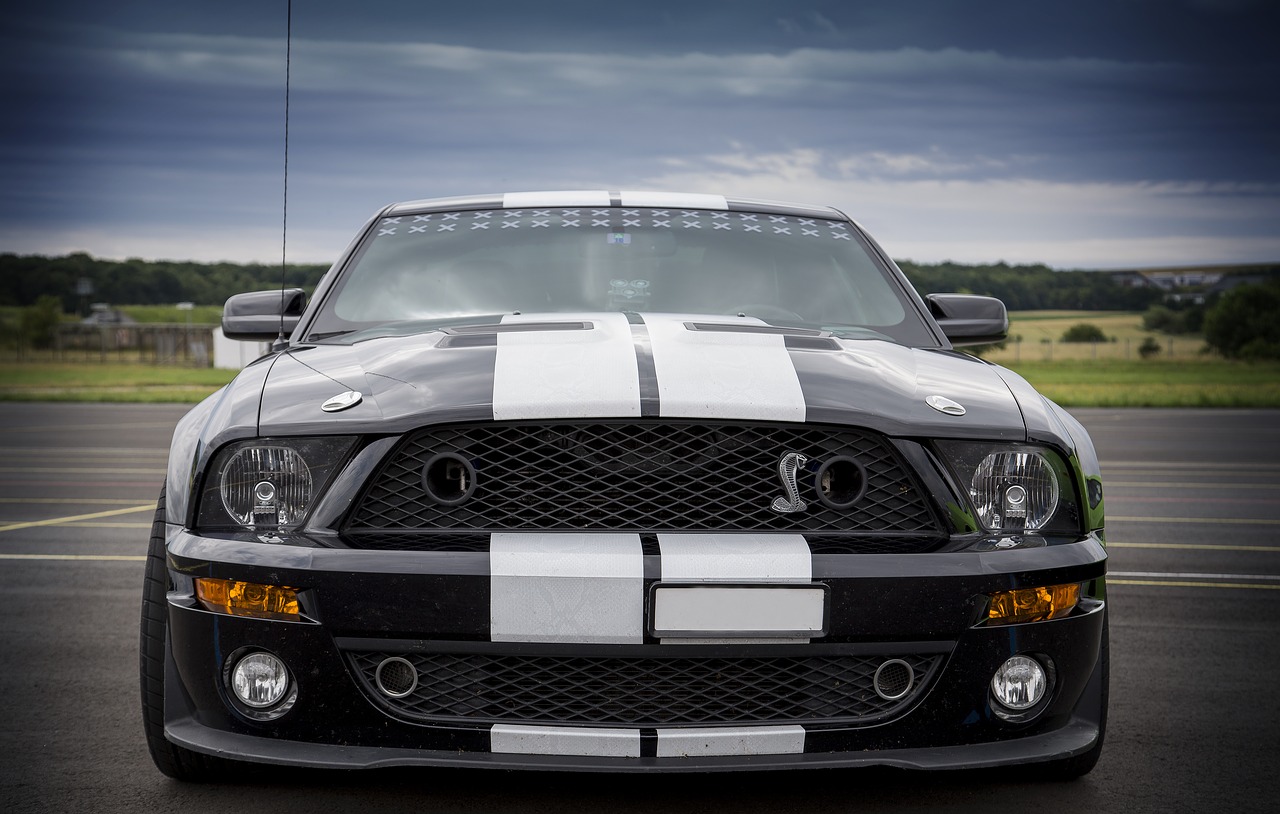 shelby  muscle car  car free photo
