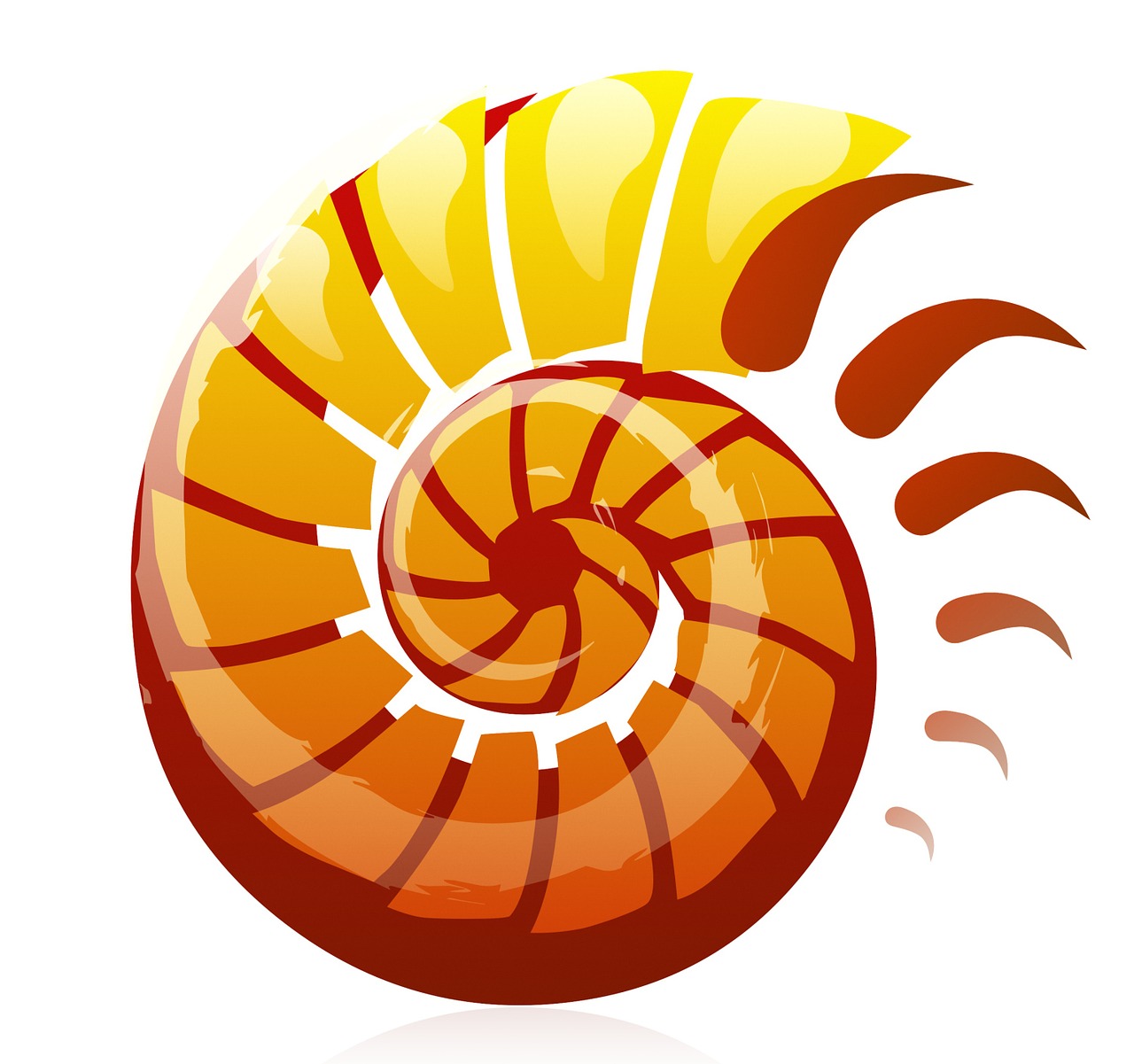 shell logo design free photo