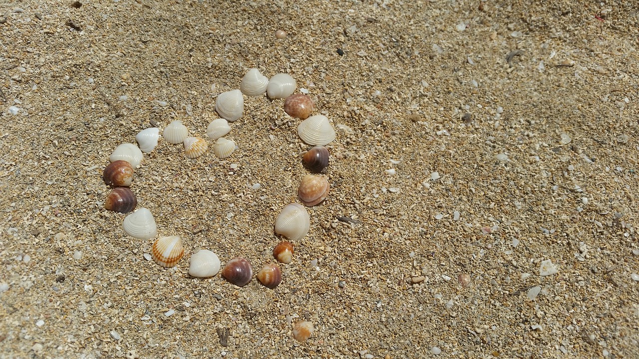 shell sand heart free photo