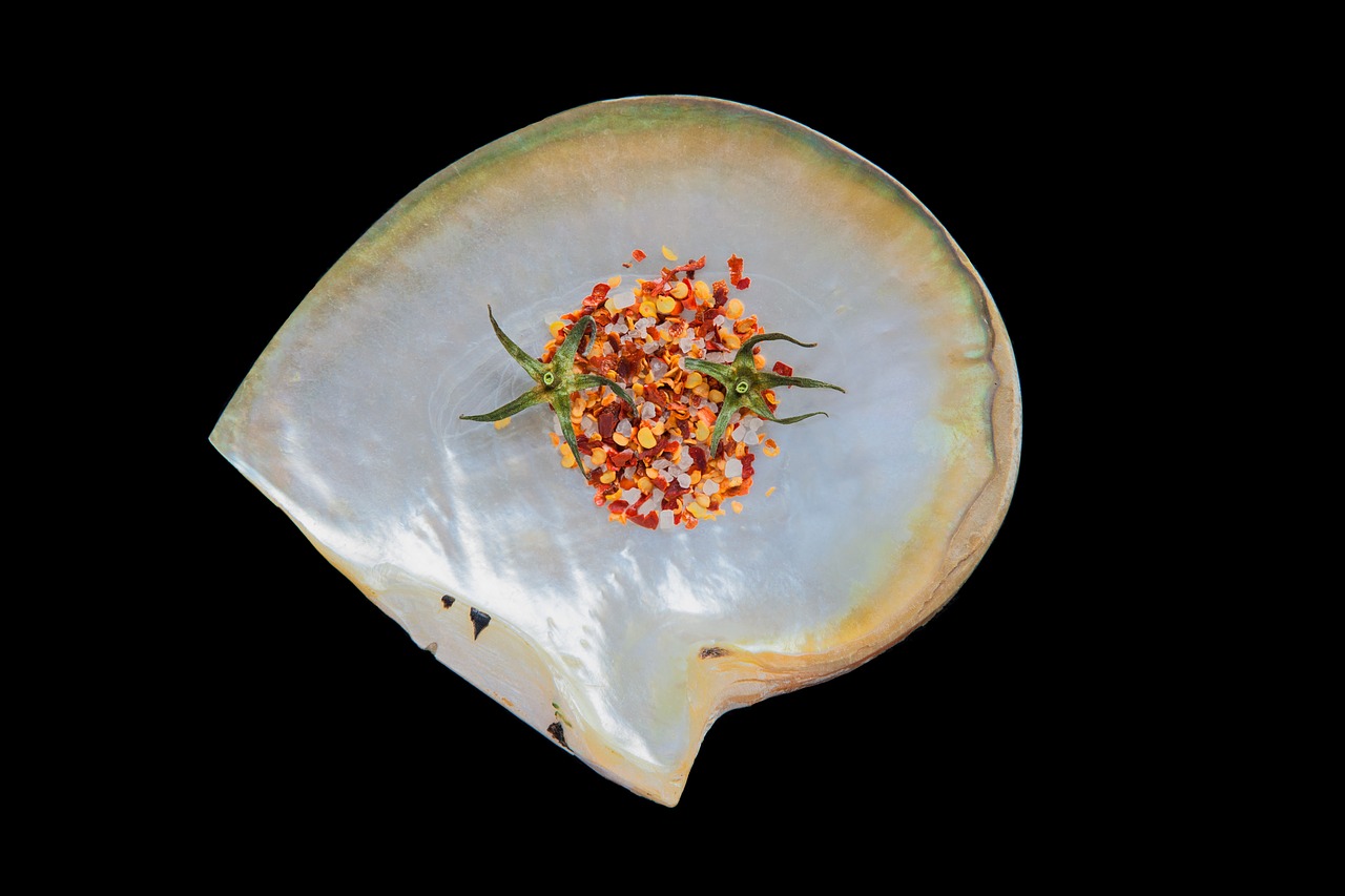 shell spice still life free photo