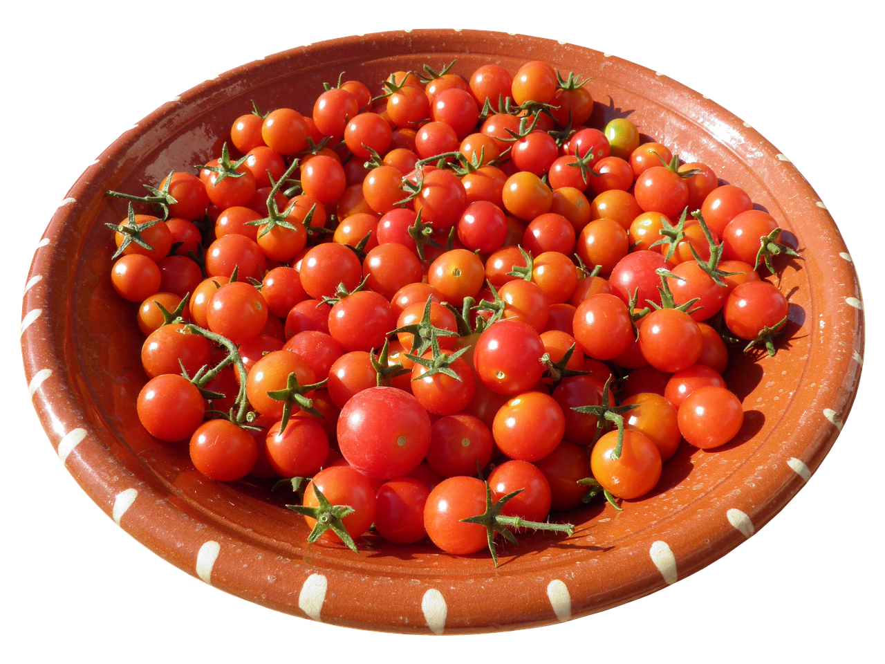 shell clay bowl tomatoes free photo