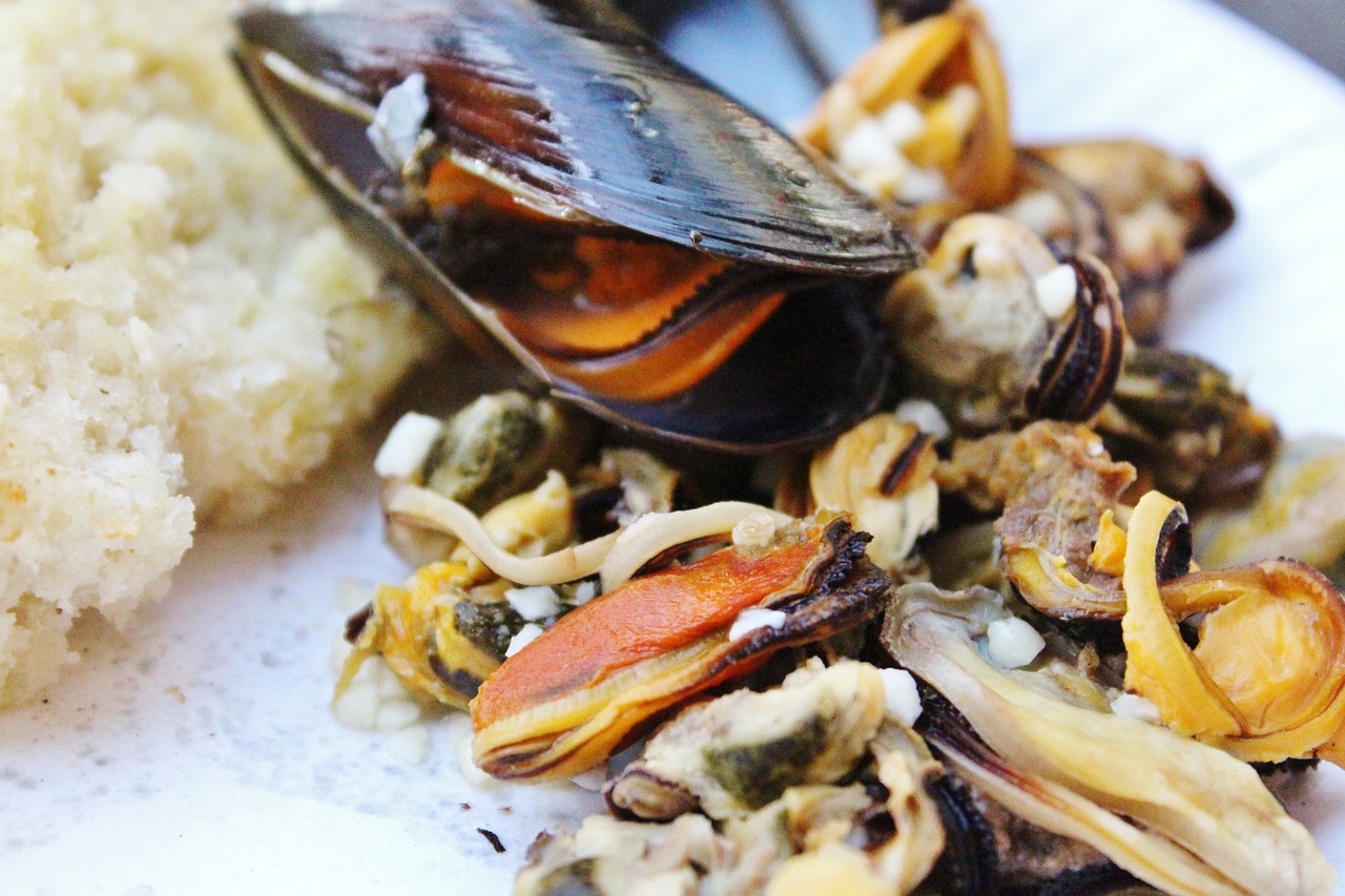 shell mussel meat seafood free photo
