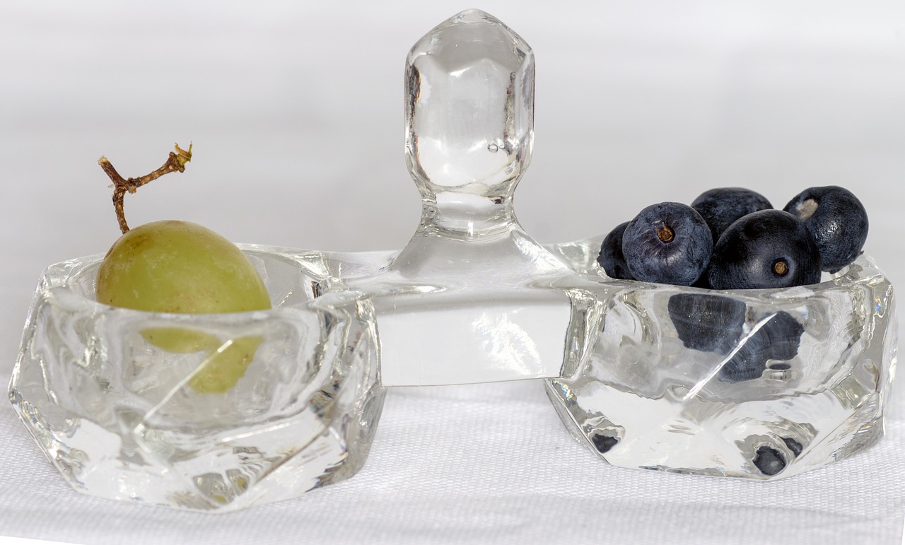 shell crystal bowl blueberry free photo