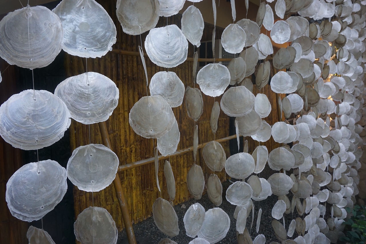 shells beach hut free photo