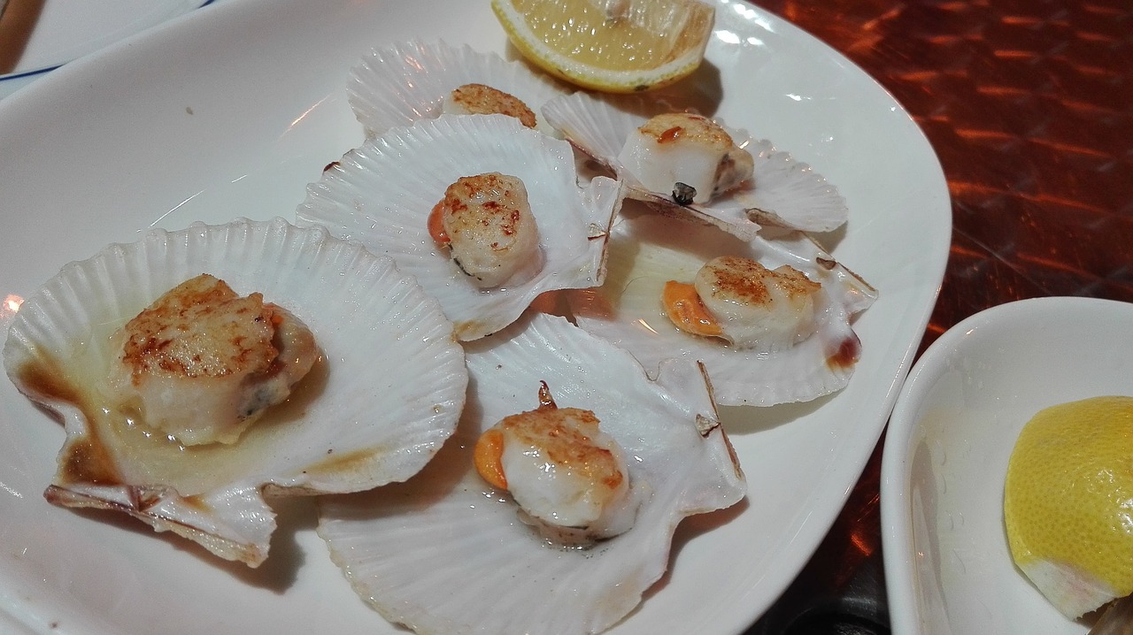shells scallops seafood free photo