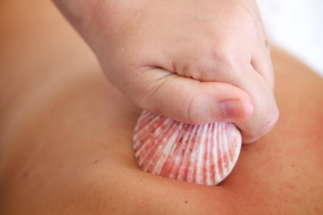 shells massage relaxation free photo