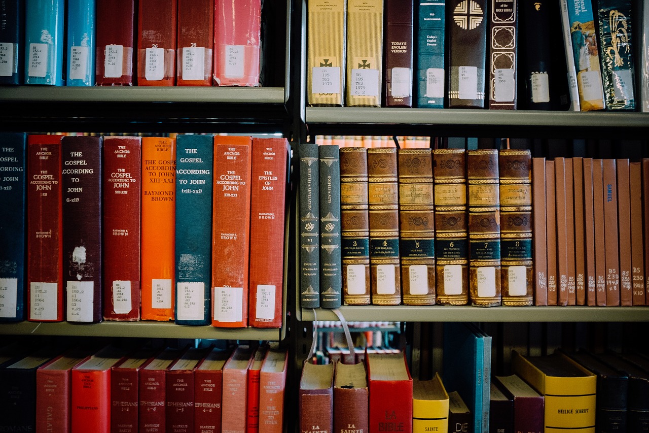 shelves library orange free photo