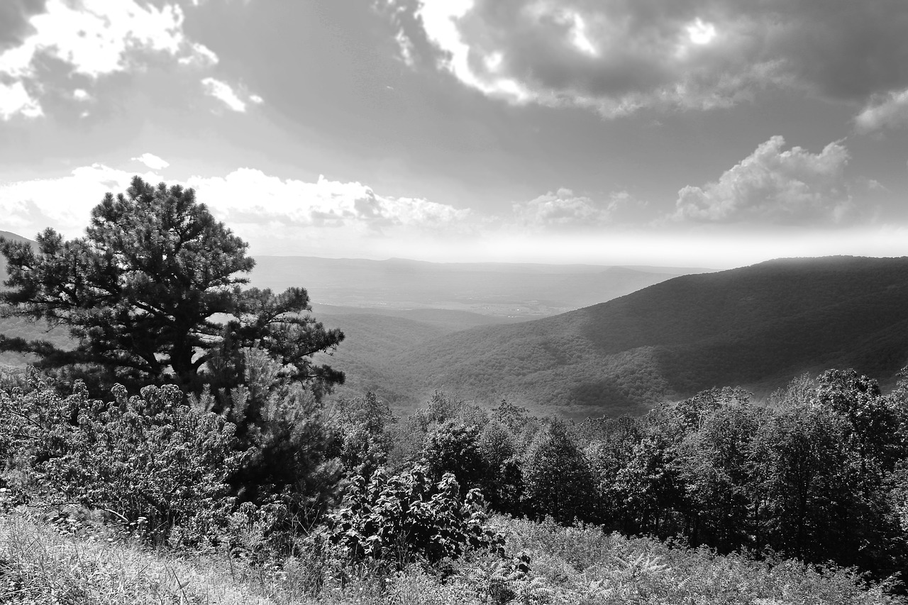 shenandoah valley  mountains  black and white landscape free photo