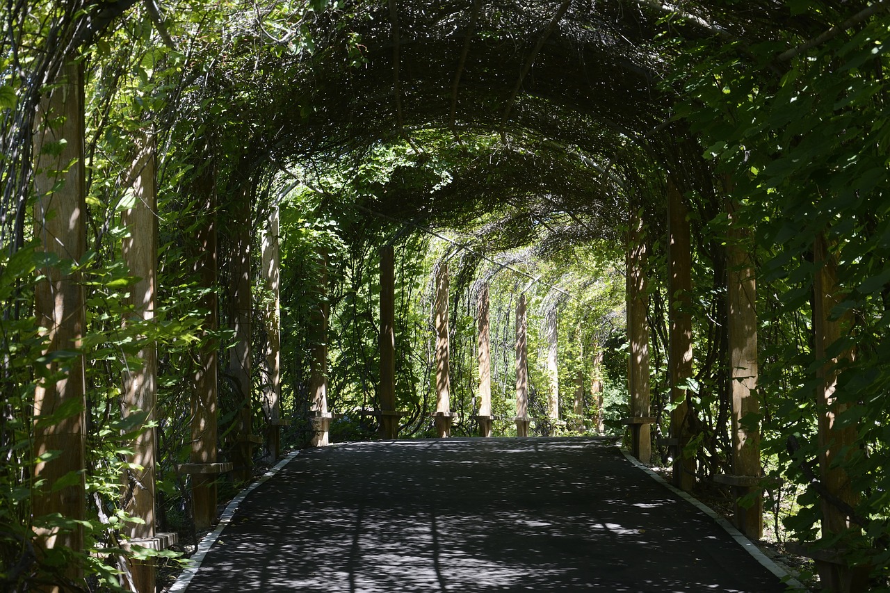 shenyang botanical garden corridor free photo