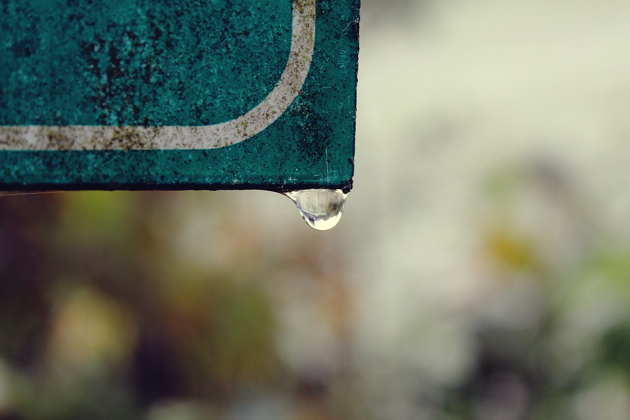 shield drip dewdrop free photo