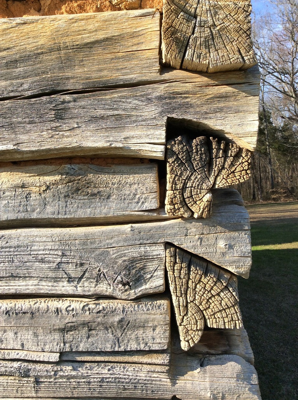 shiloh wooden cabin free photo