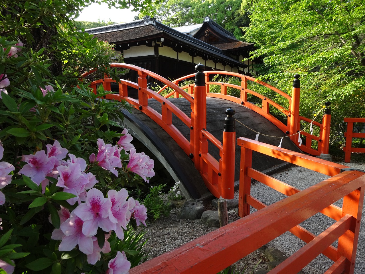 shimogamo shrine bridge flowers free photo