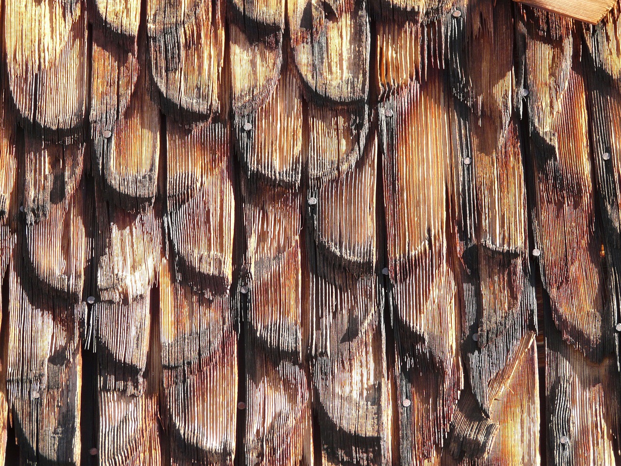 shingle wood roofing free photo