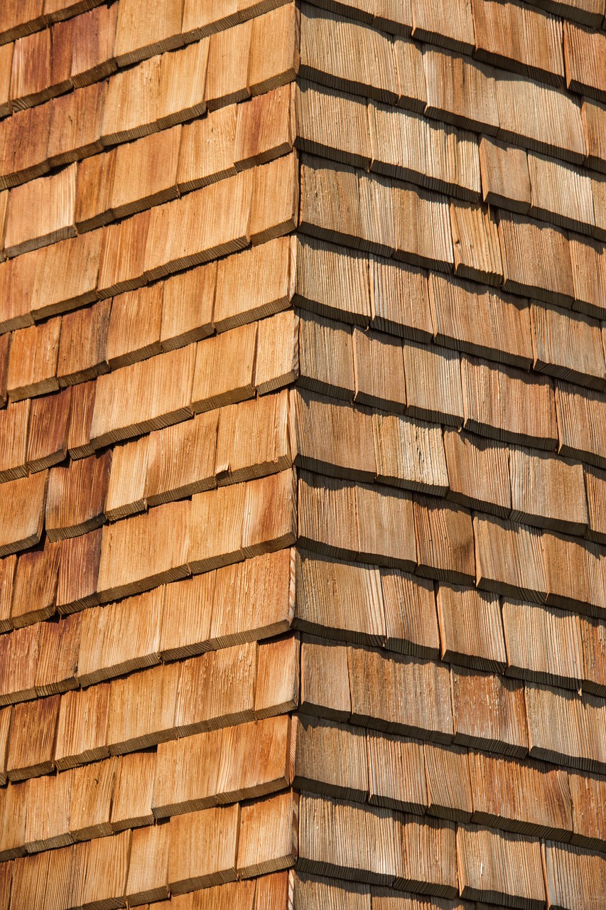 shingle  wood shingles  facade free photo