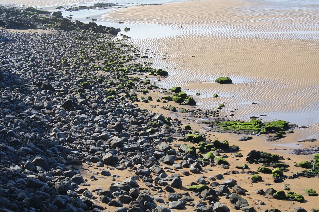 shingle beach sea sand free photo