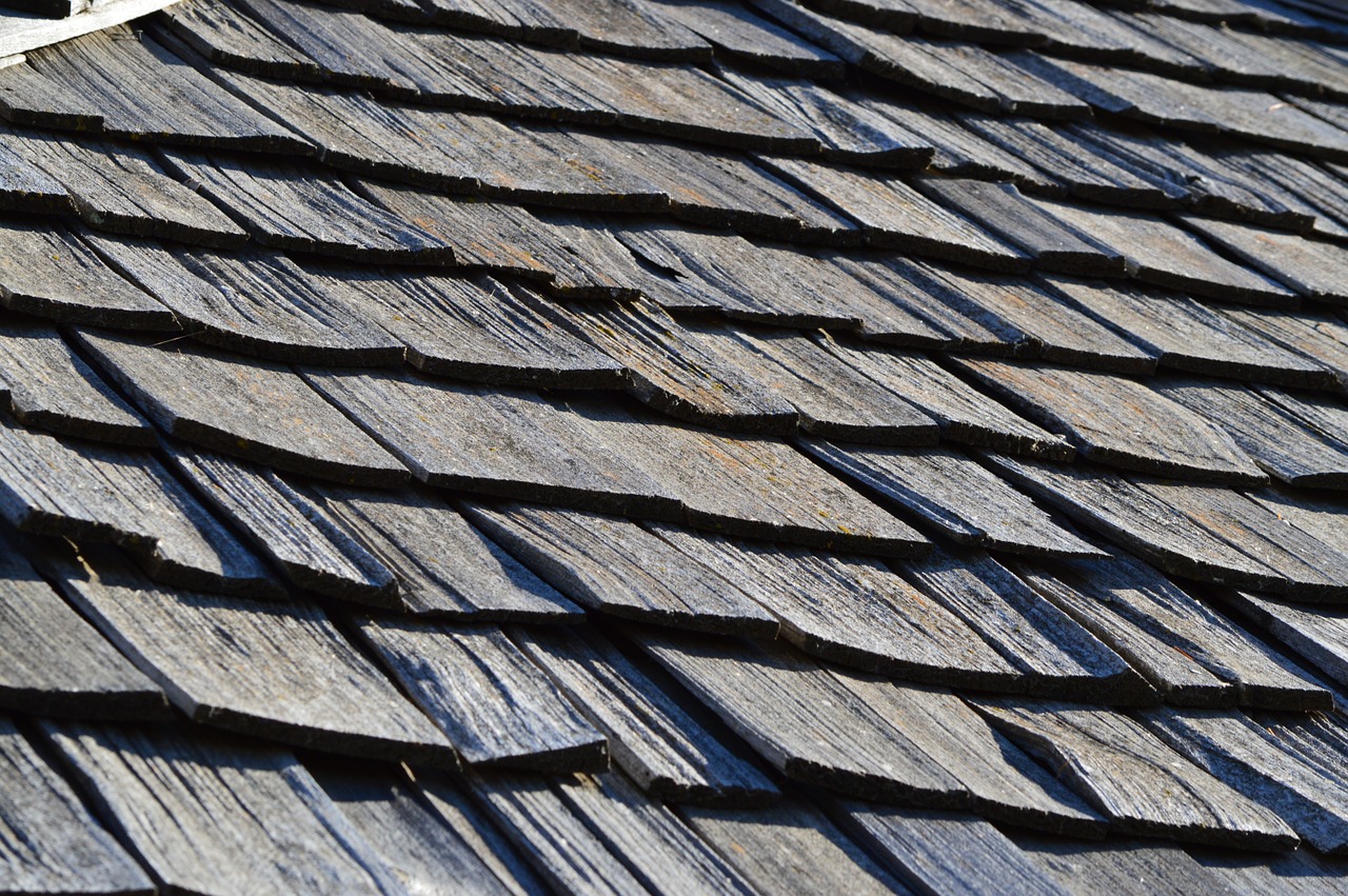 shingles roof wood free photo