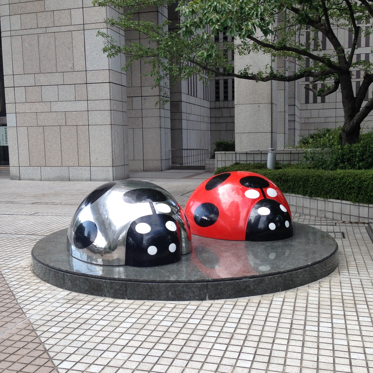 shinjuku nobuo miyamoto ladybug free photo