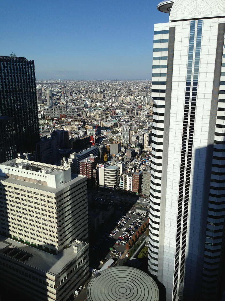 shinjuku ku building buildings skyscrapers urban free photo