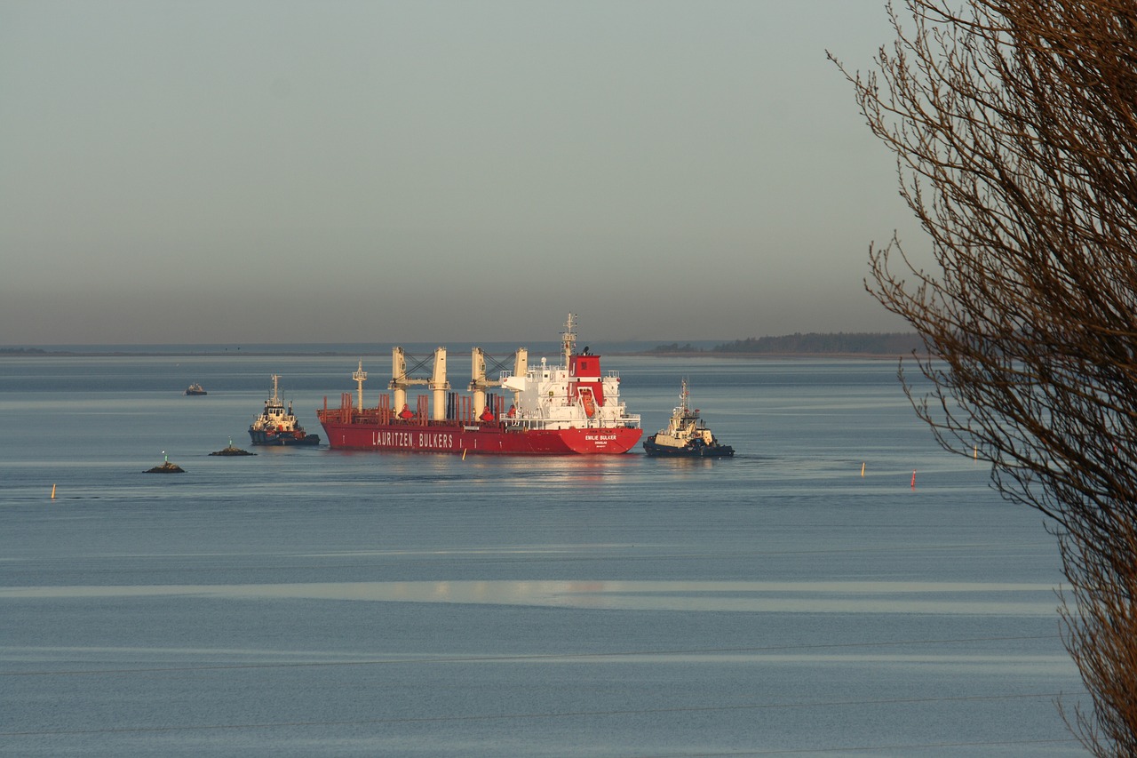 odense fjord ship bulk carrier free photo