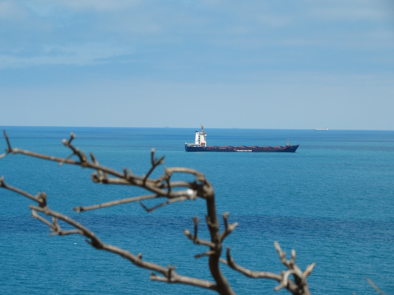 ship sea tree free photo